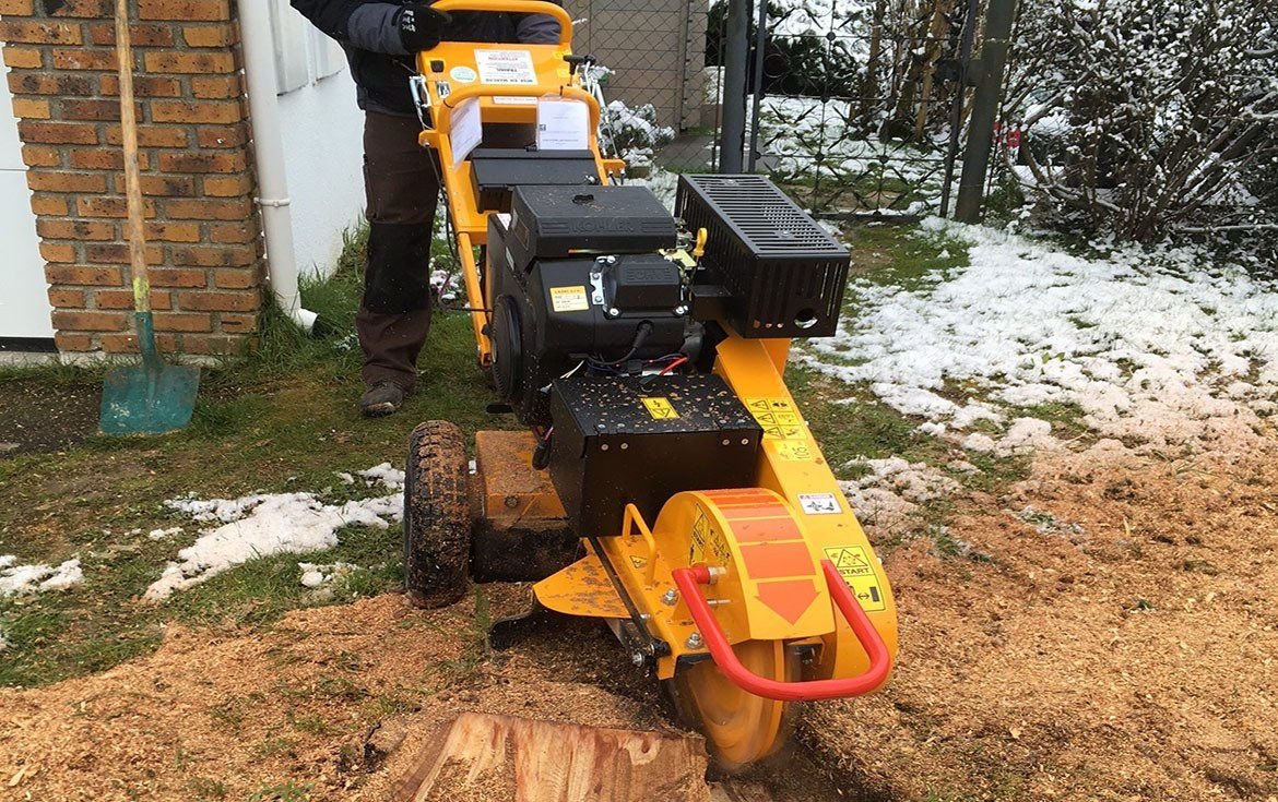 travaux de dessouchage