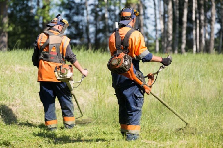 travaux de débroussaillage